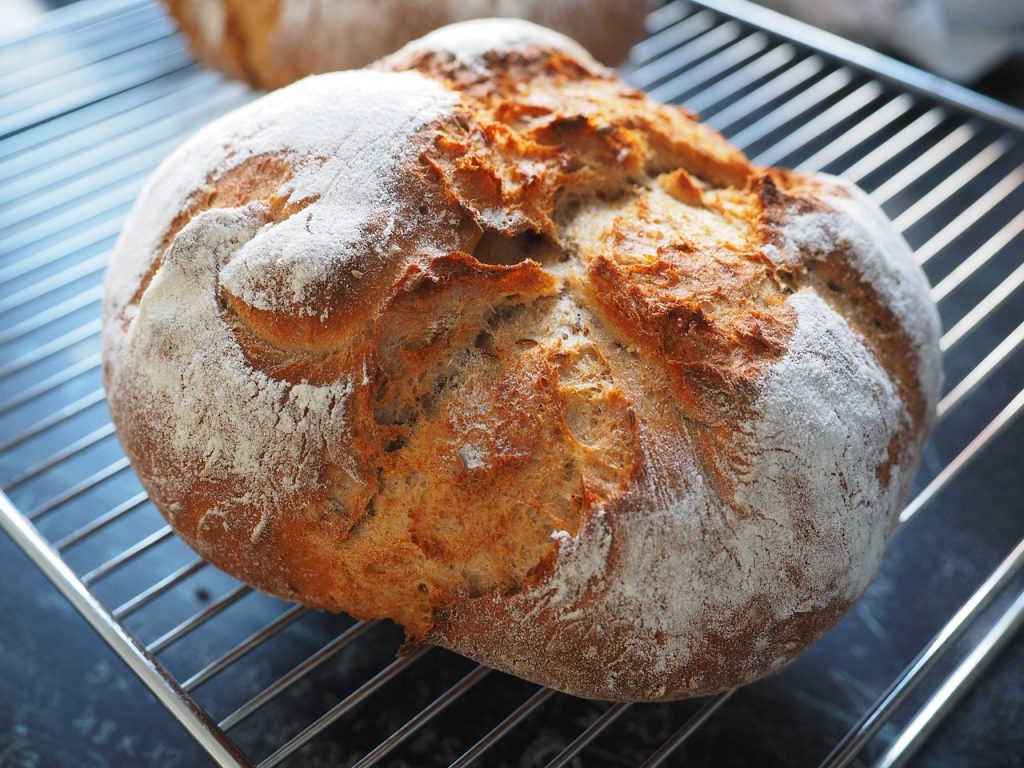 パン作りでイーストか酵母で迷ったらまずは違いをよく知ろう